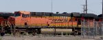 BNSF 6231